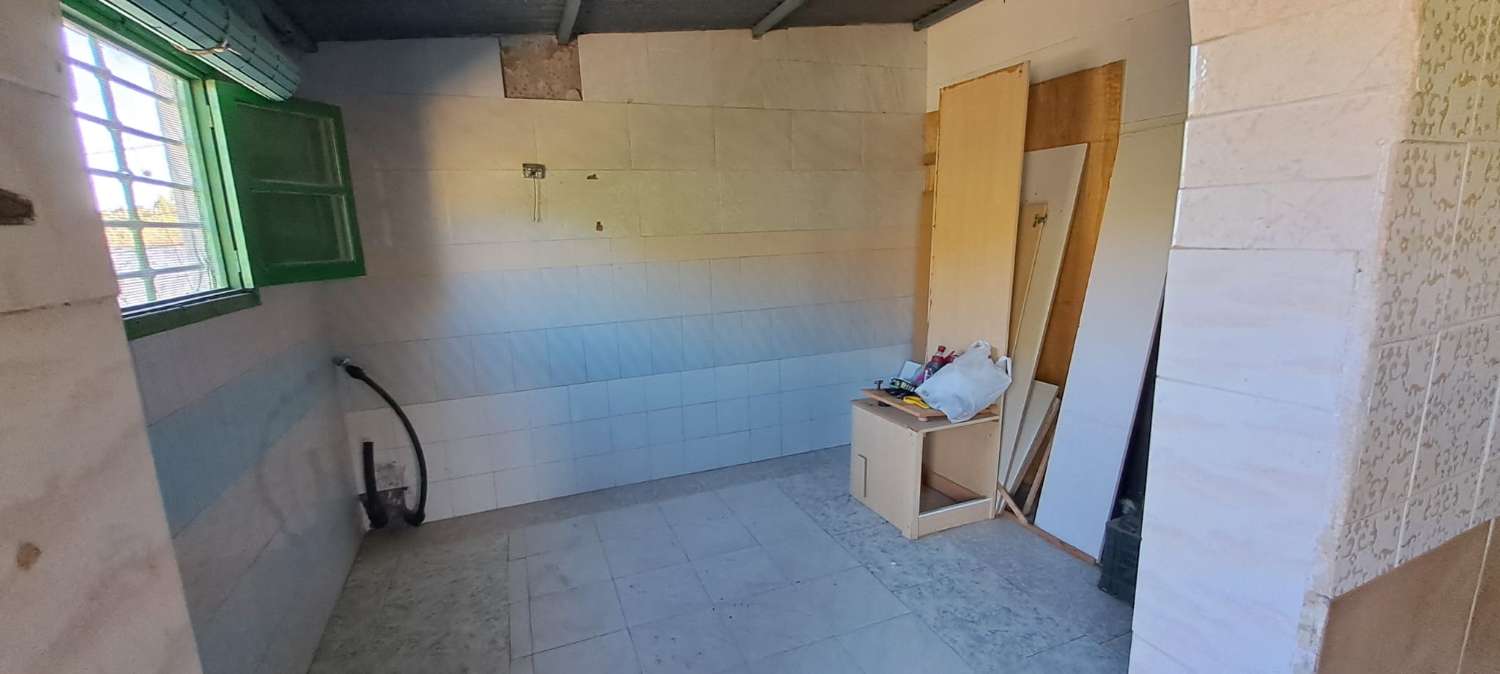 Terreno en Algarrobo con jardin frutal