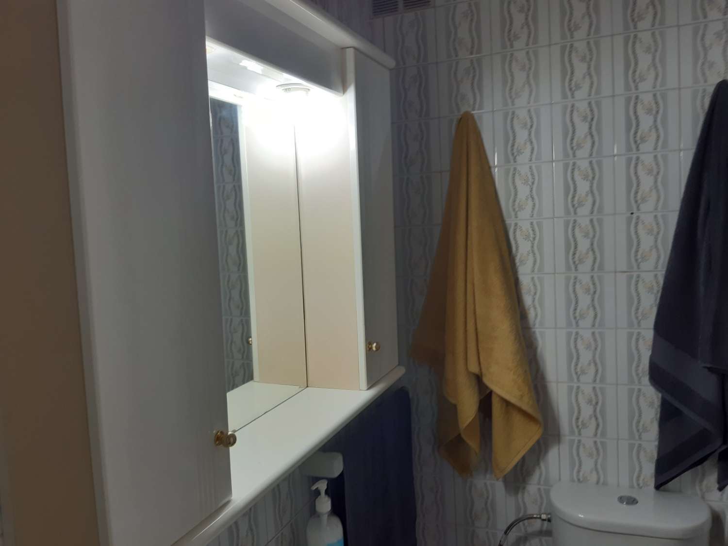 Estudio en Torre del Mar