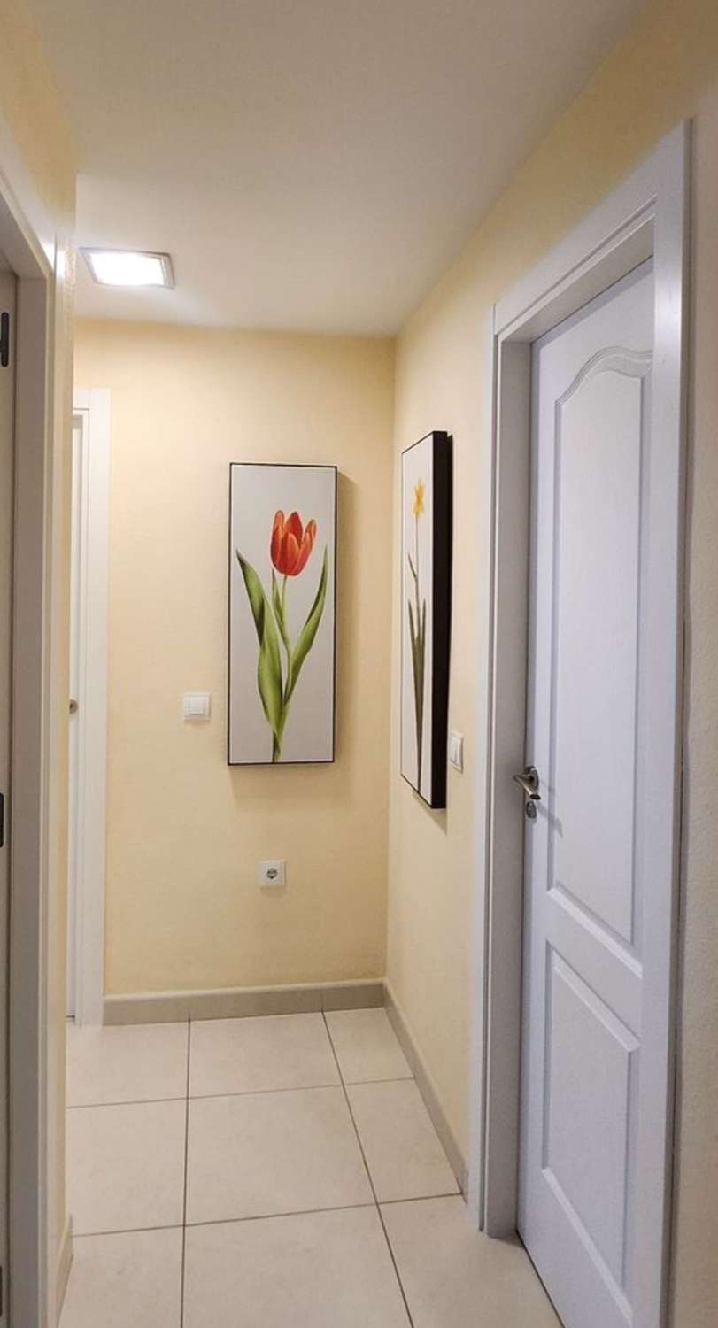 2-Bedroom Apartment in Algarrobo-Costa