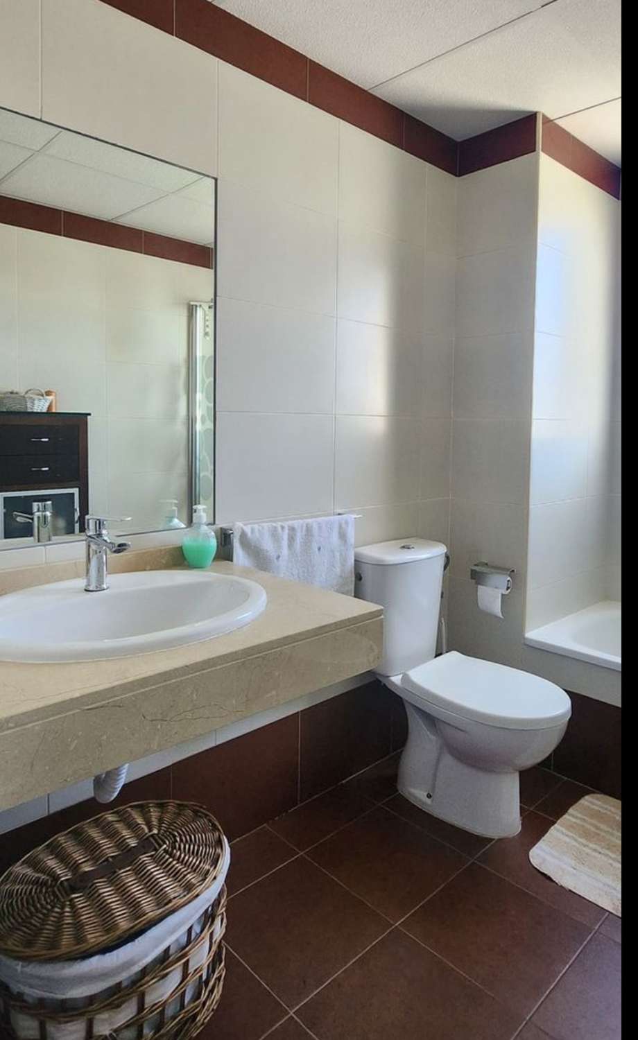 2-Bedroom Apartment in Algarrobo-Costa