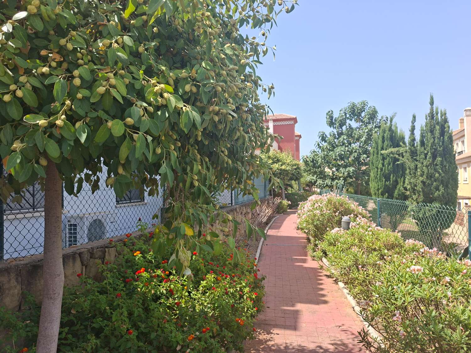 Penthouse in Baviera Golf