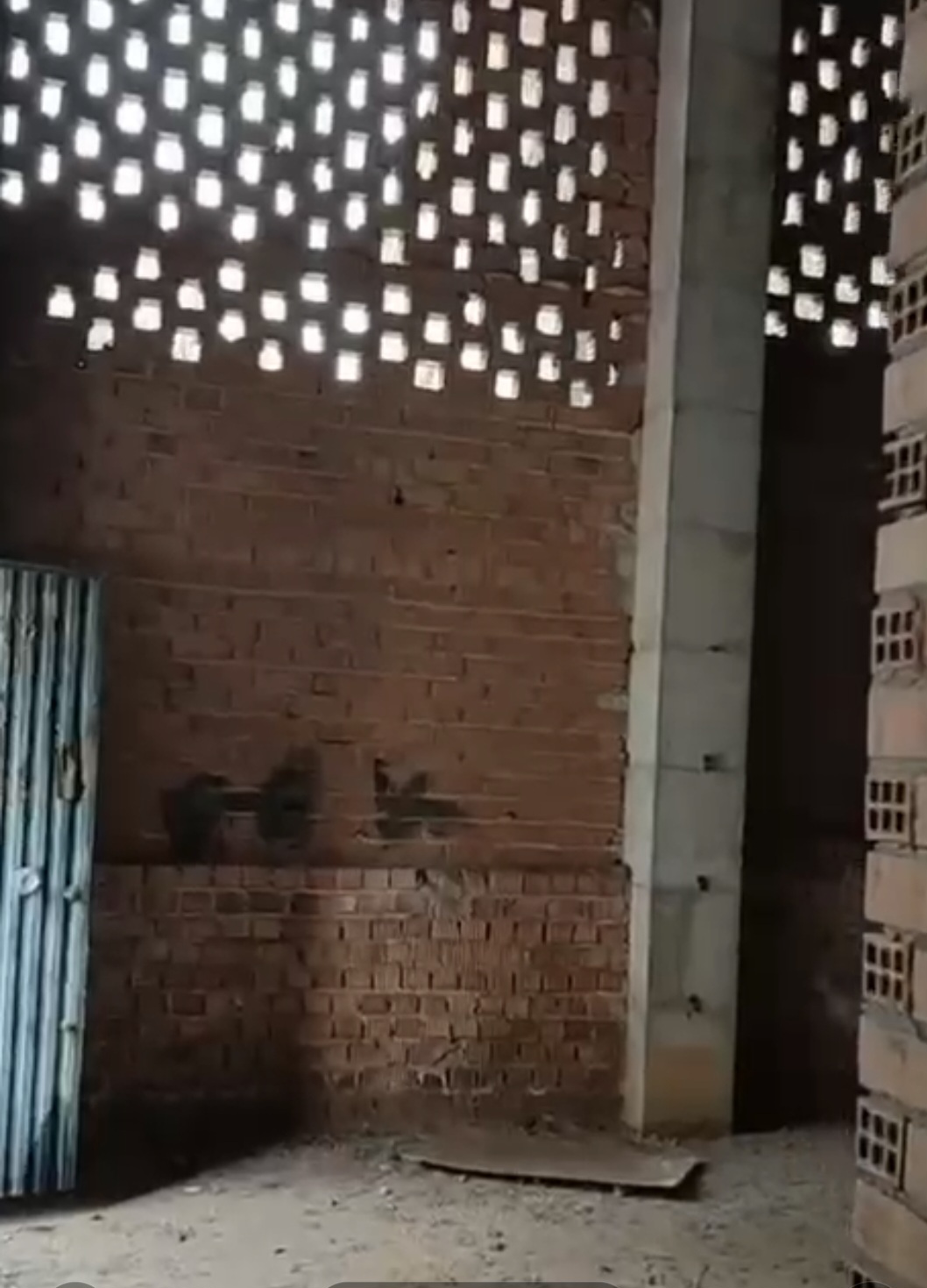 Azienda in vendita a Playa del Rincón (Rincón de la Victoria)