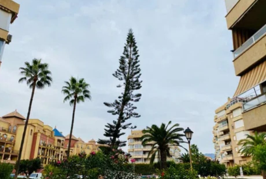 Huoneisto myynnissä Centro Internacional (Torrox)