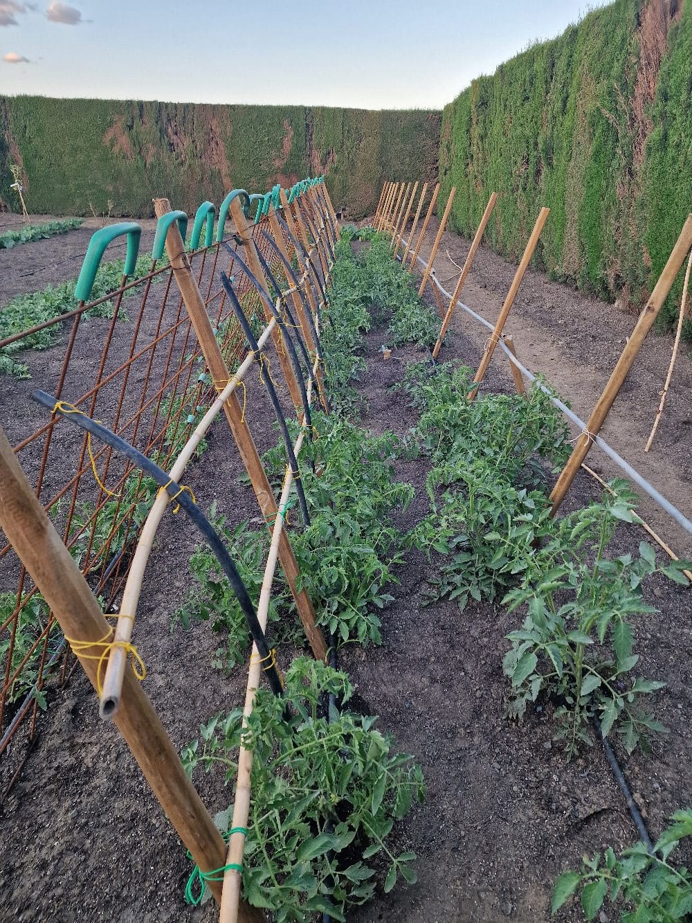 Maison avec terrain à Almayate