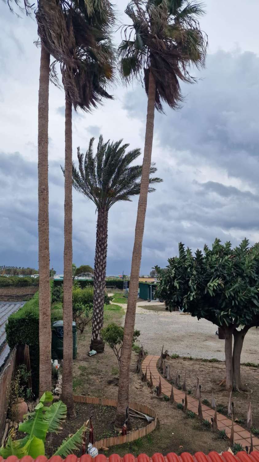 Maison avec terrain à Almayate