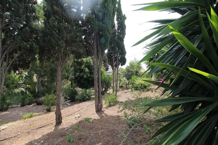 Villa en bord de mer à Benajarafe avec grand terrain urbain