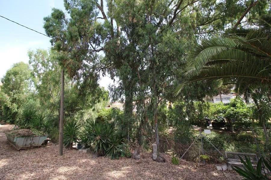 Villa en bord de mer à Benajarafe avec grand terrain urbain