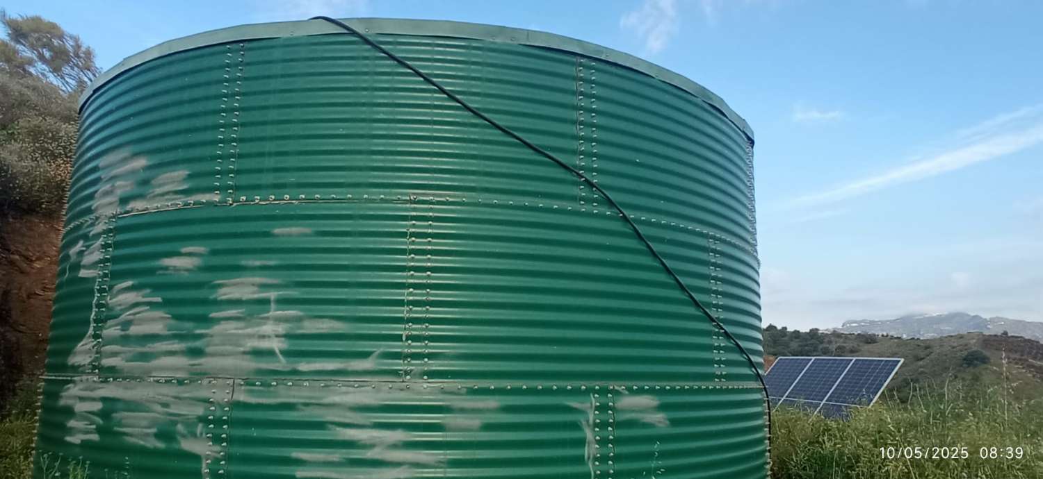 Obstgarten-Finca in Triana– Vélez-Málaga