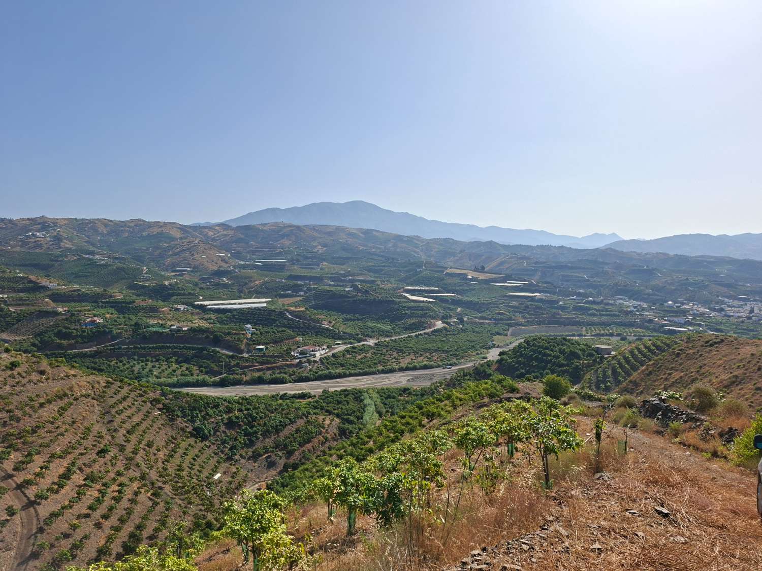 Obstgarten-Finca in Triana– Vélez-Málaga