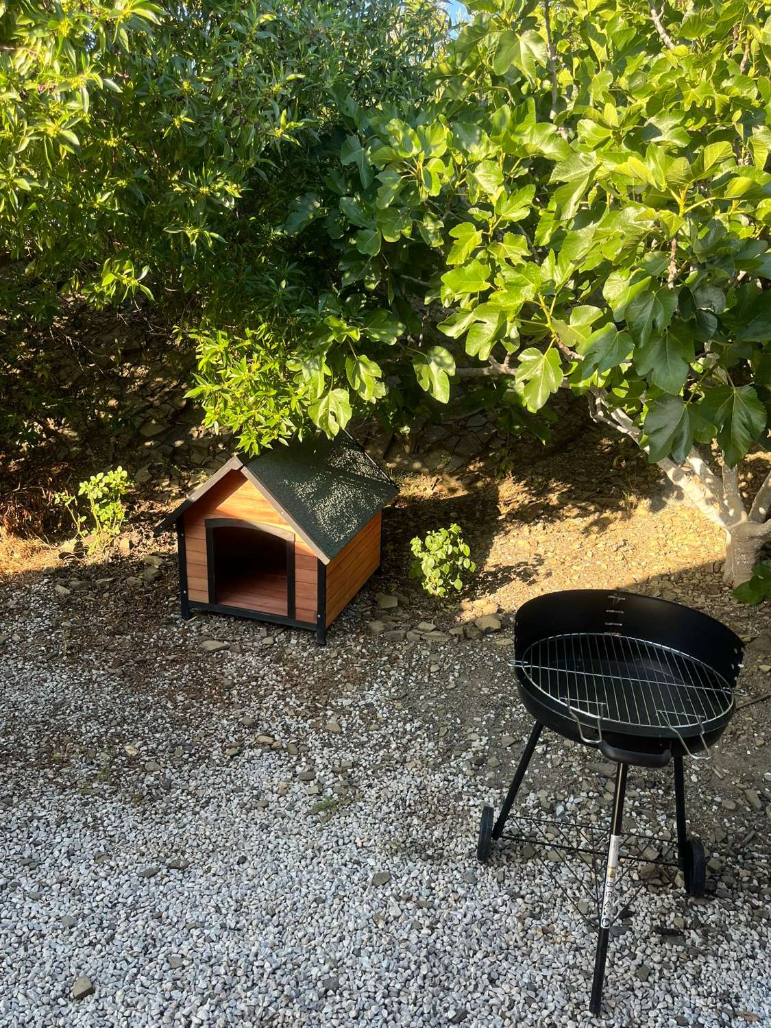 Lantligt hus i Benamargosa