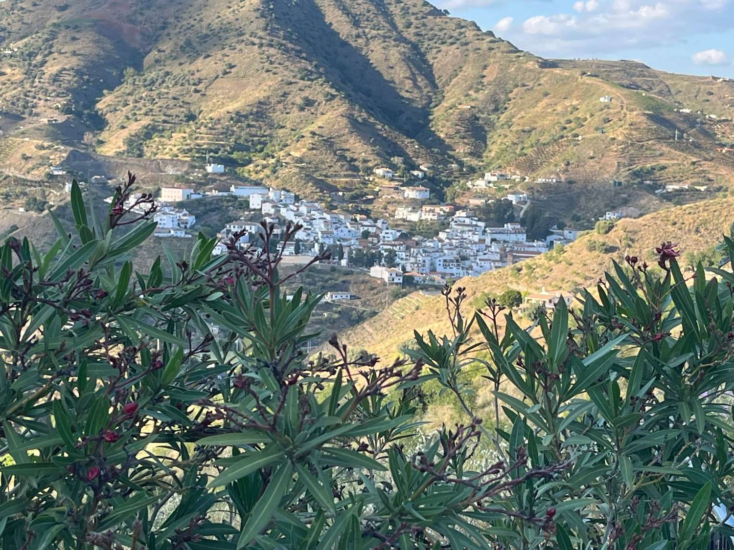 Lantligt hus i Benamargosa