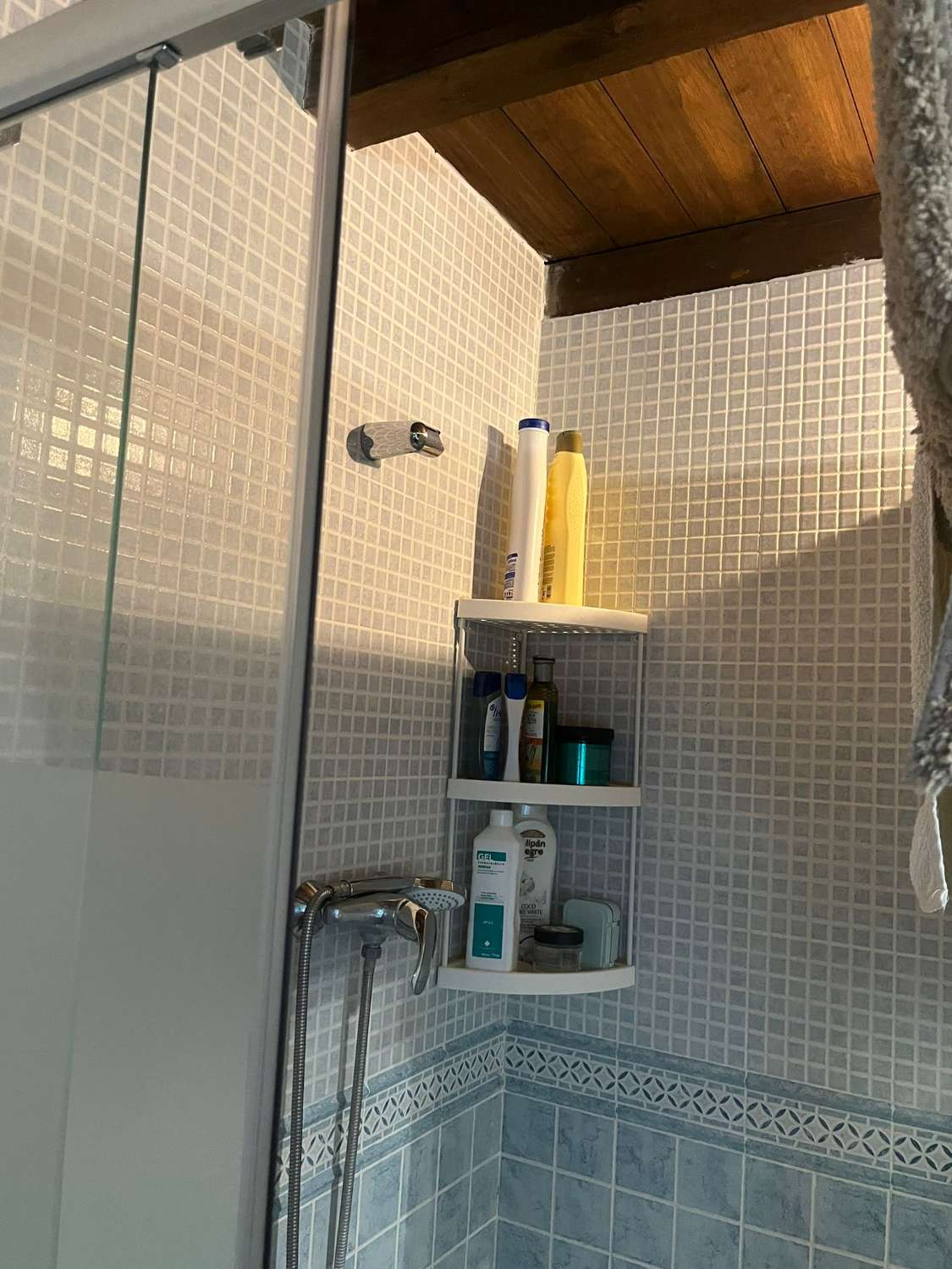 Lantligt hus i Benamargosa