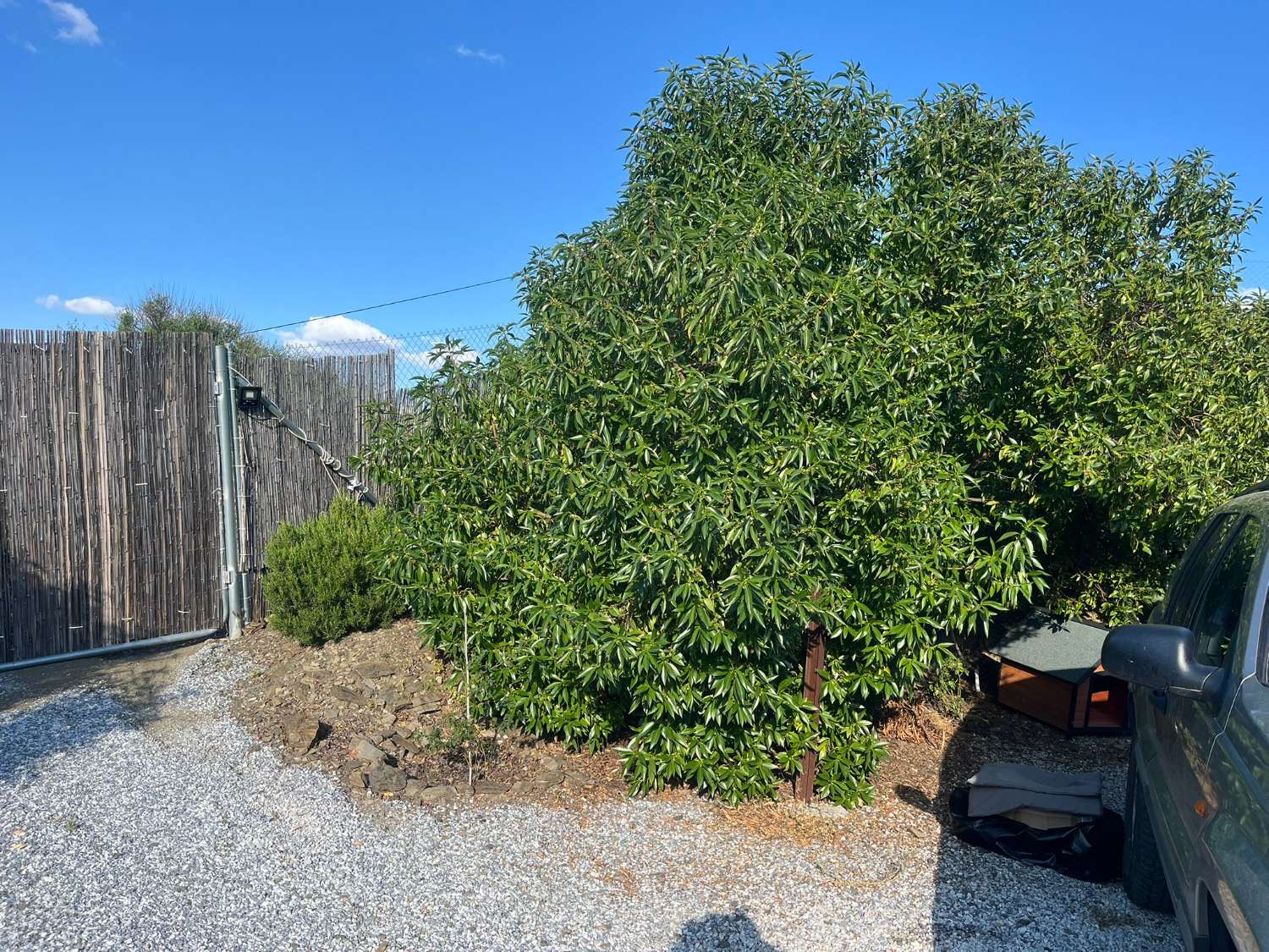 Lantligt hus i Benamargosa