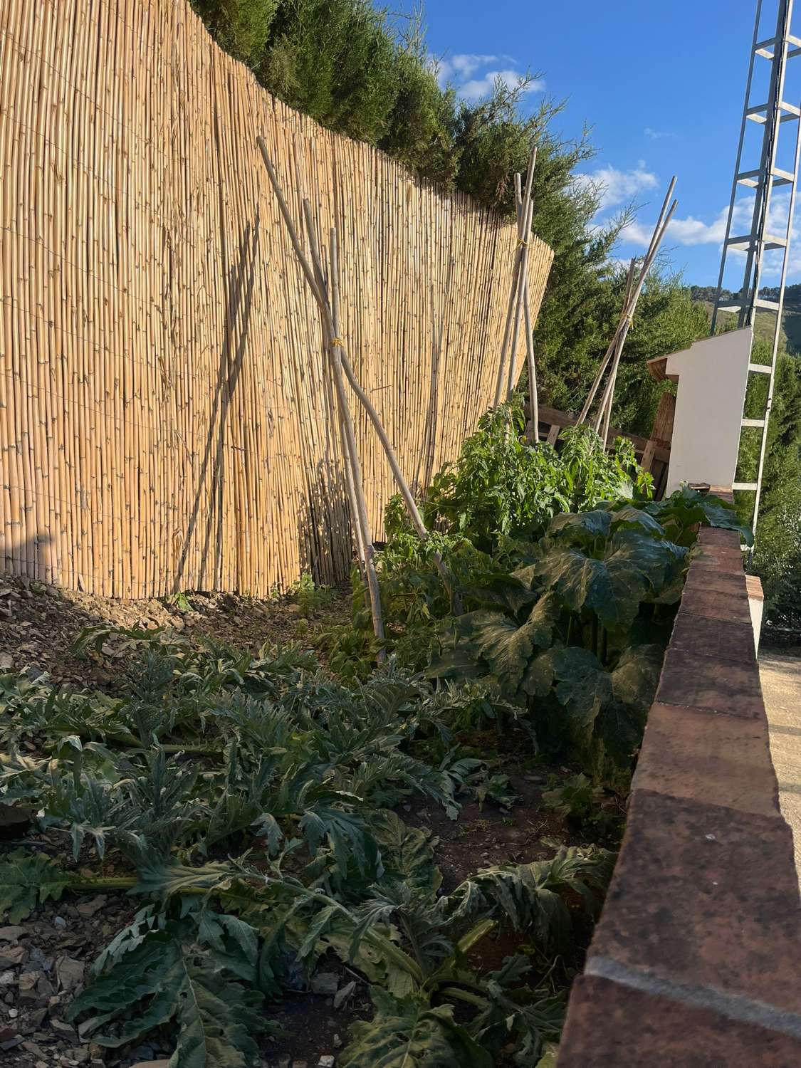 Lantligt hus i Benamargosa