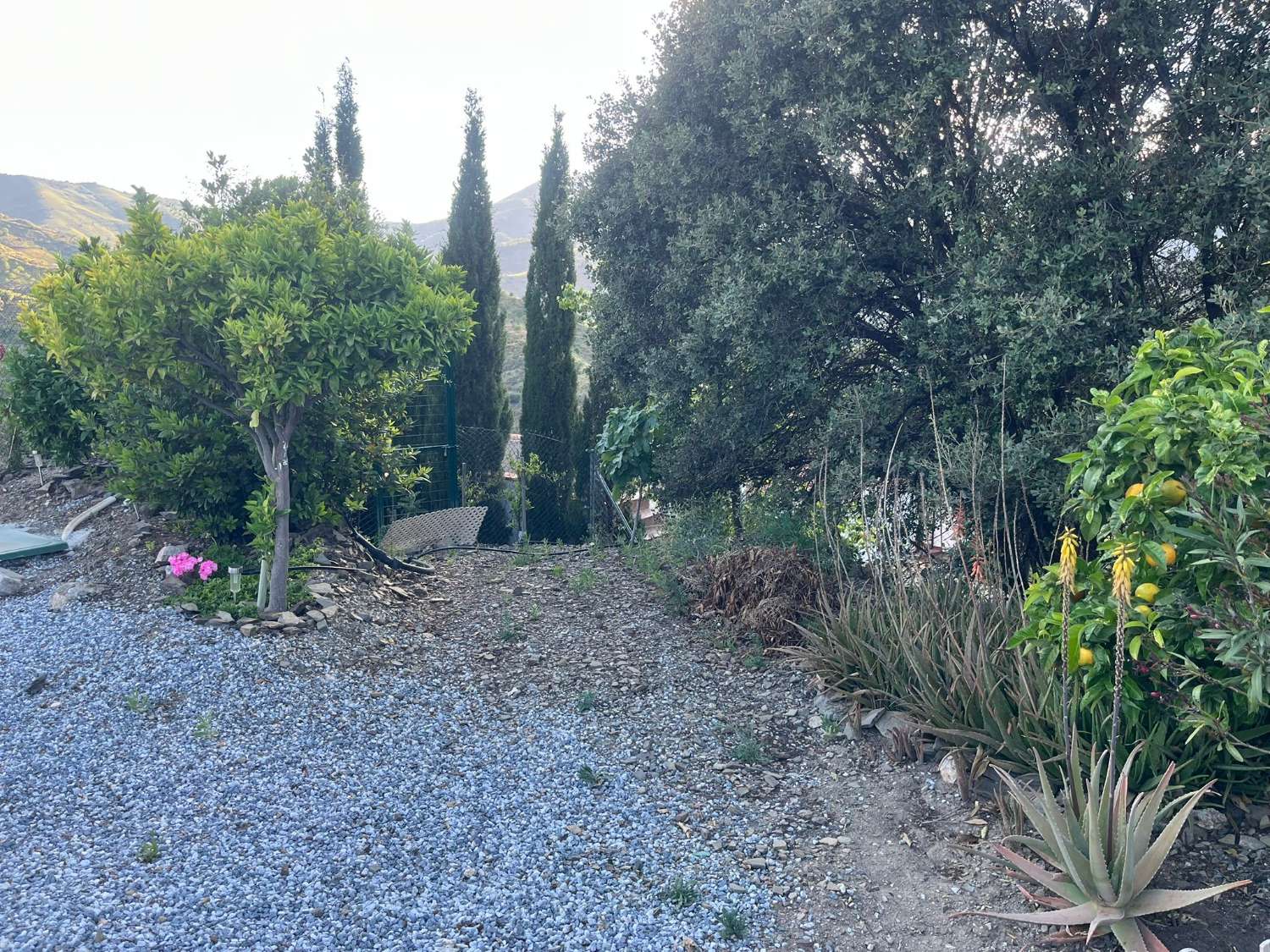 Lantligt hus i Benamargosa