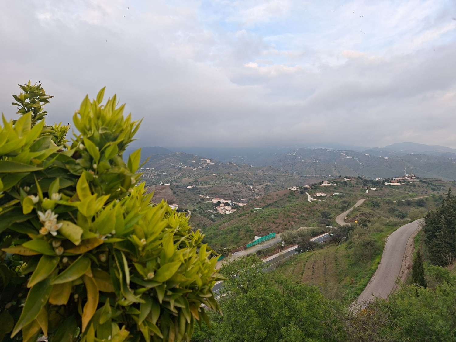 Dům v prodeji in Viñuela