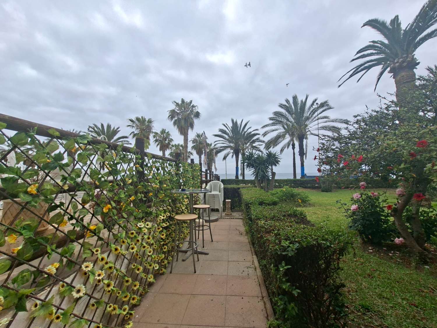 Bar overdracht in Algarrobo Costa