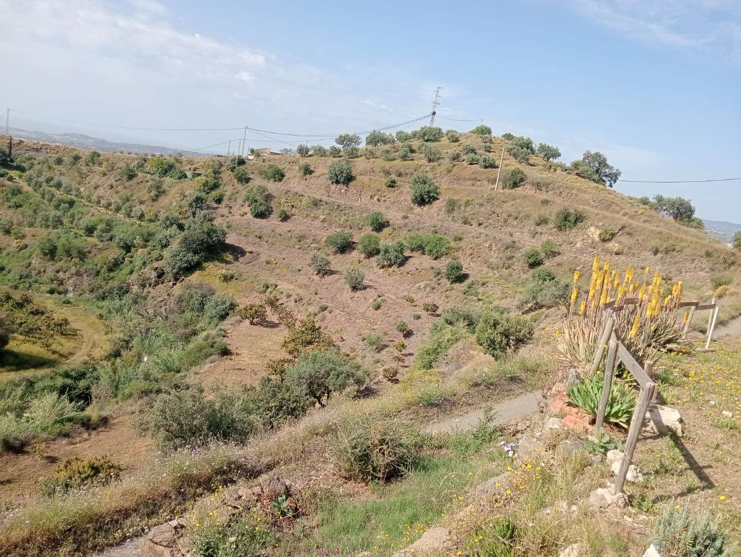 Terreno en venta en Alto Real Vélez-Málaga