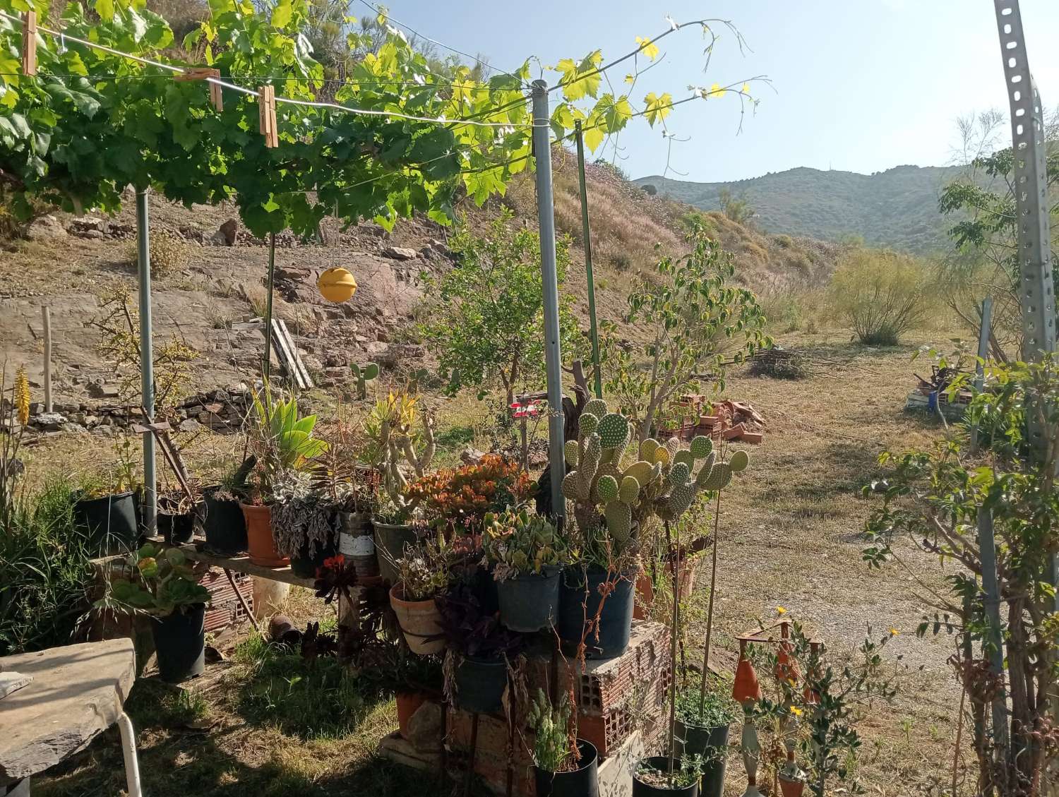 Terreno en venta en Alto Real Vélez-Málaga
