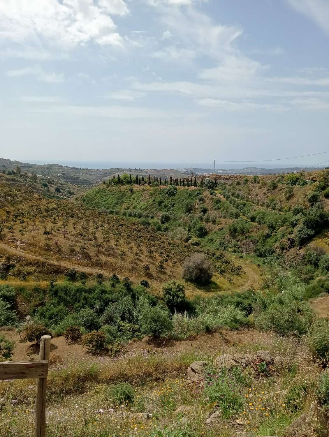 Terreno en venta en Alto Real Vélez-Málaga