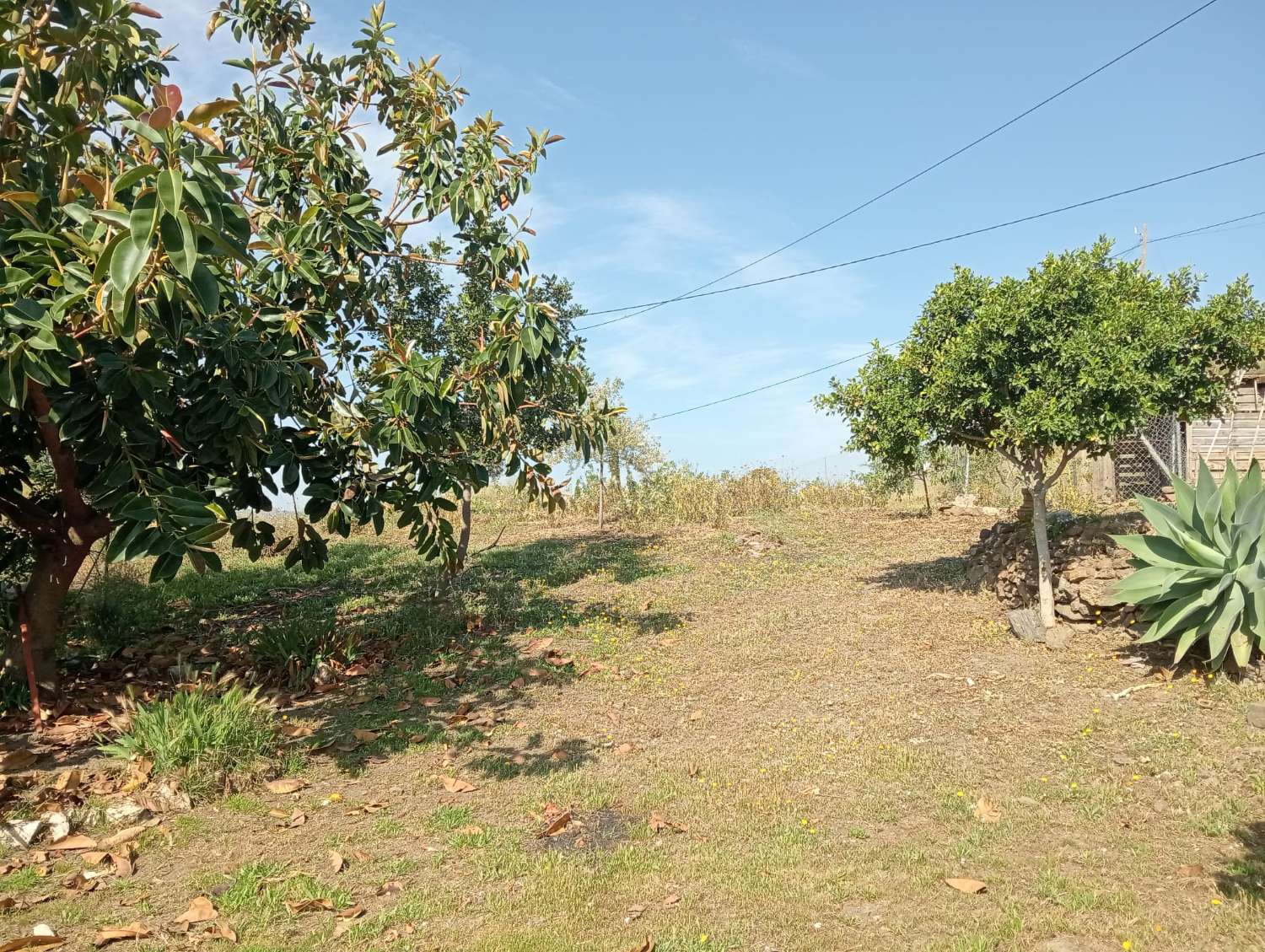 Terreno en venta en Alto Real Vélez-Málaga