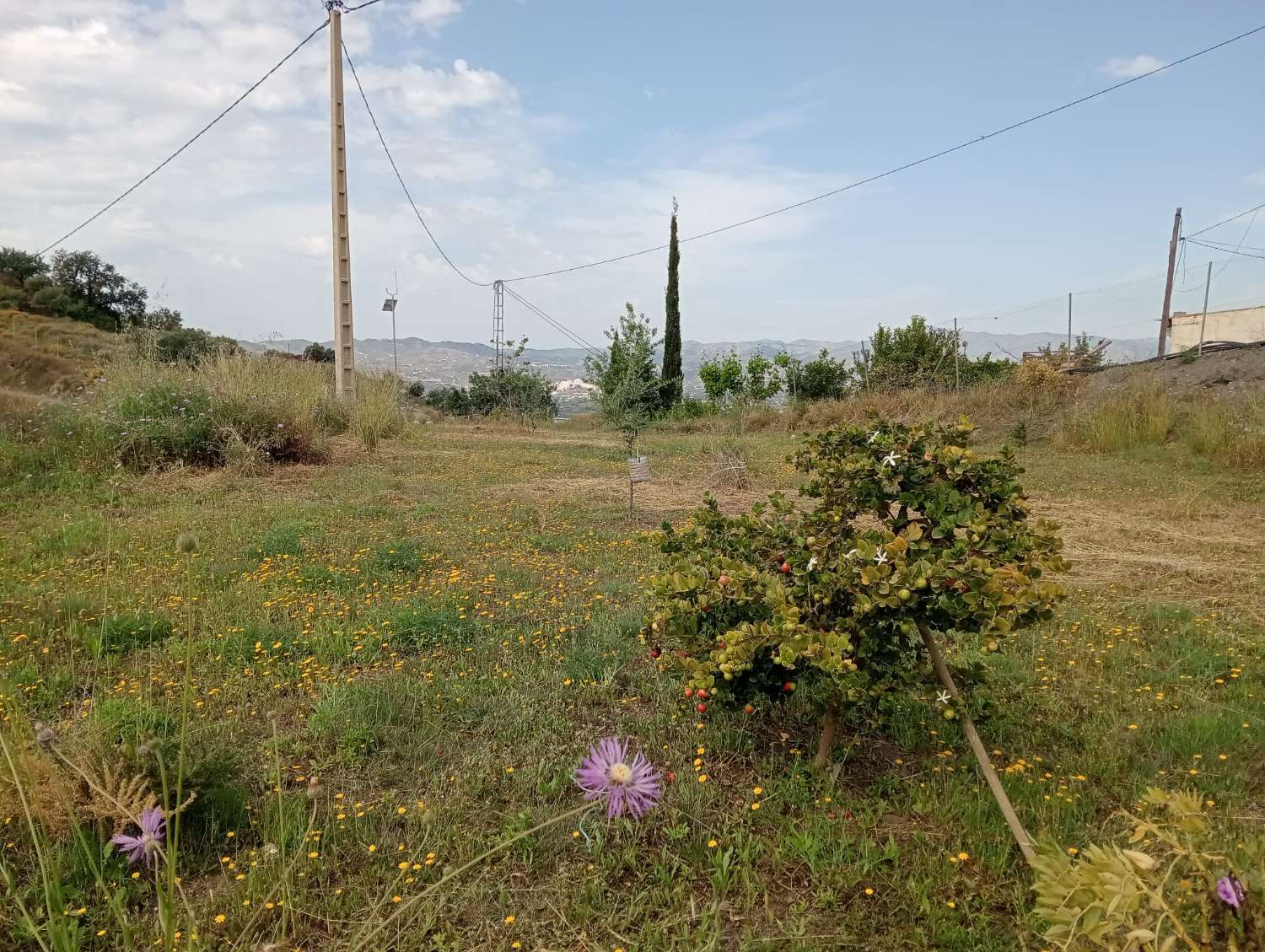 Terreno en venta en Alto Real Vélez-Málaga