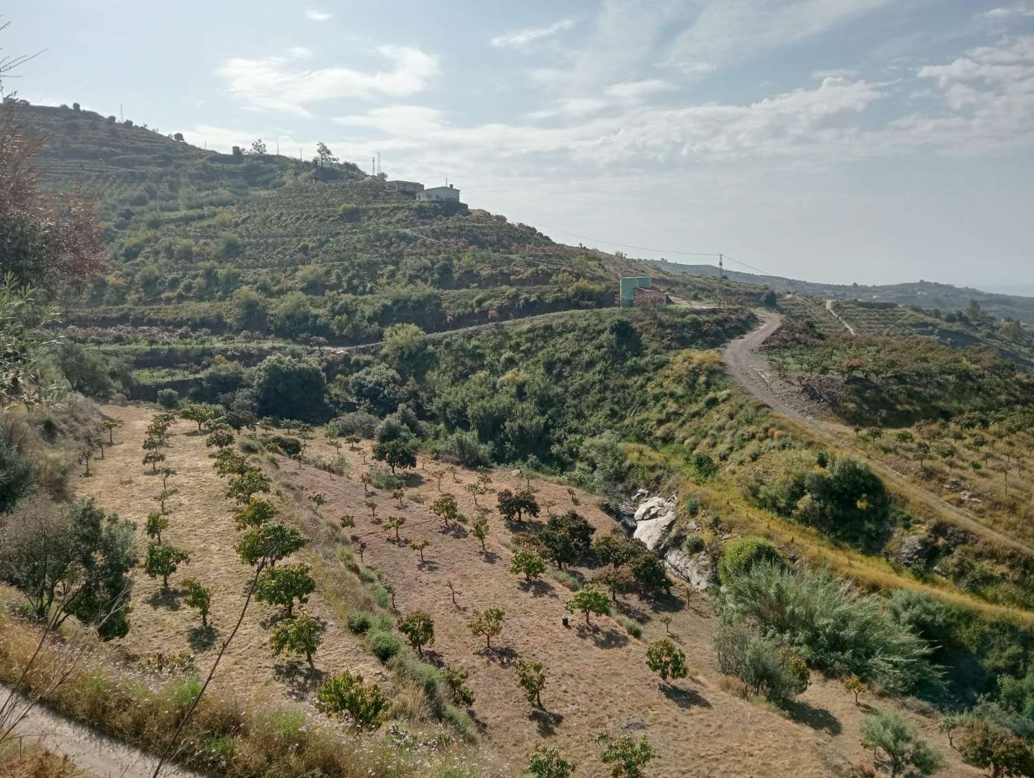 Terreno en venta en Alto Real Vélez-Málaga