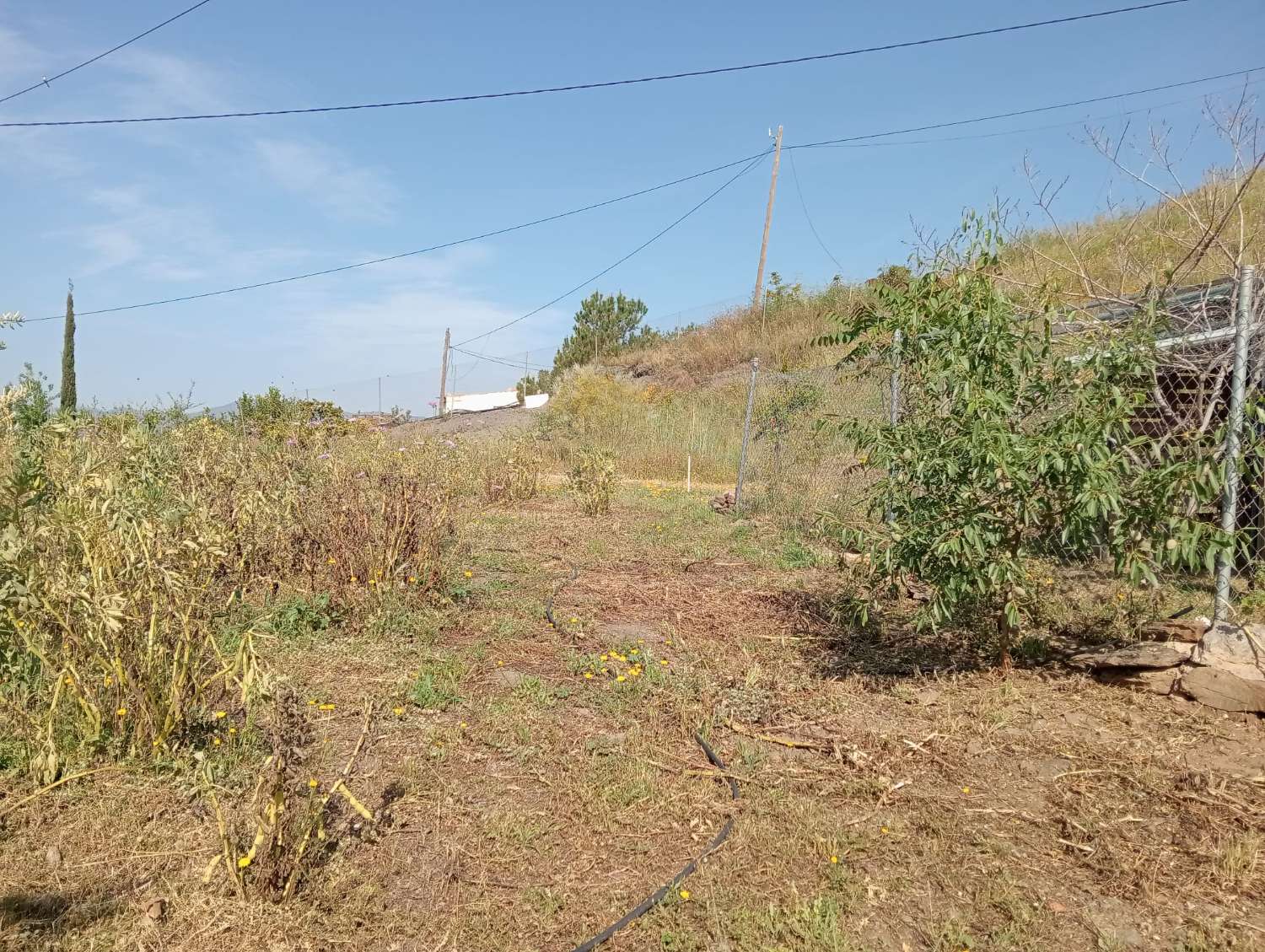 Terreno en venta en Alto Real Vélez-Málaga