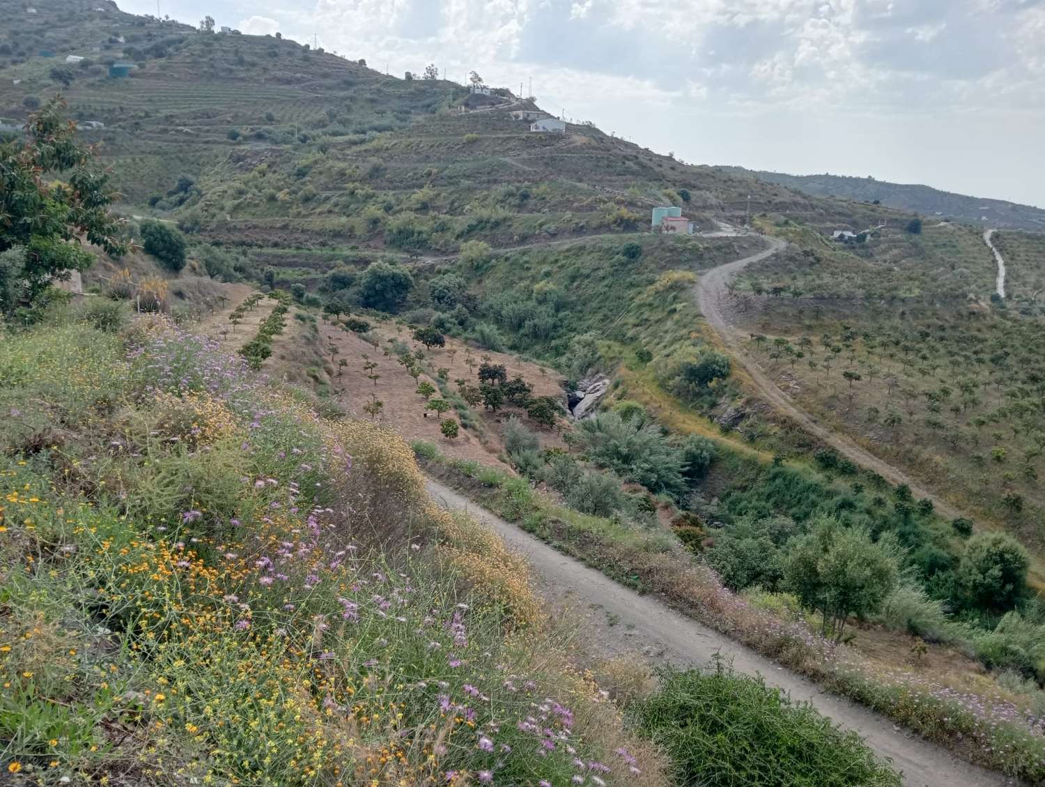 Terreno en venta en Alto Real Vélez-Málaga