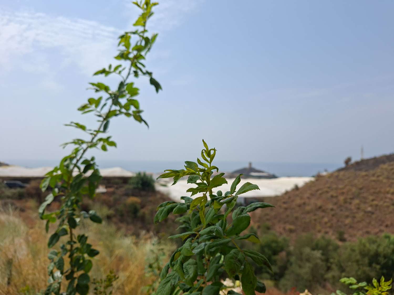 Talo vuokrattavissa El Morche (Torrox)