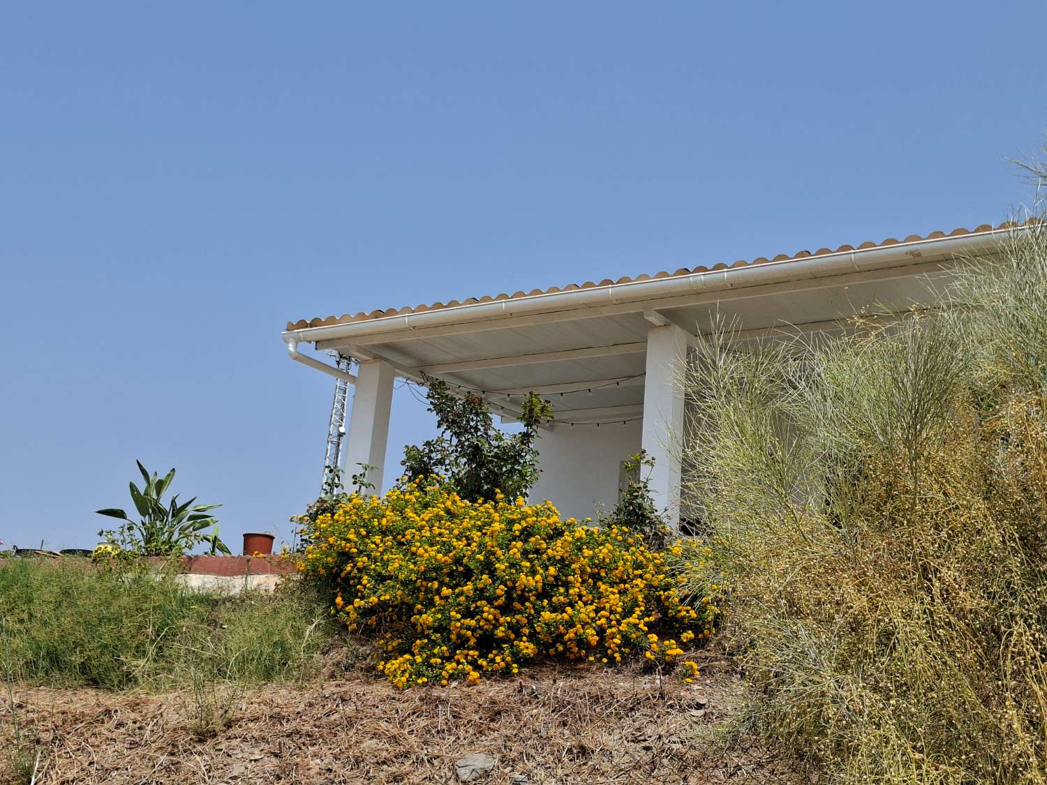 Talo vuokrattavissa El Morche (Torrox)